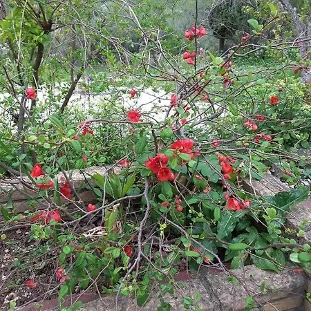 Stathi's Dom wakacyjny