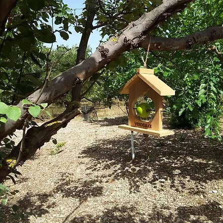 Dom wakacyjny Stathi's