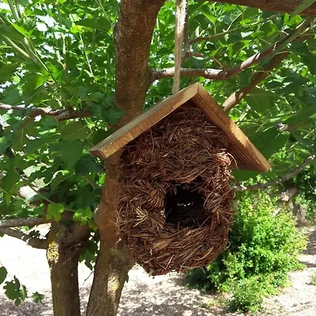 Dom wakacyjny Stathi's