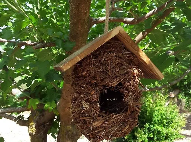 Tatil Evi Stathi's