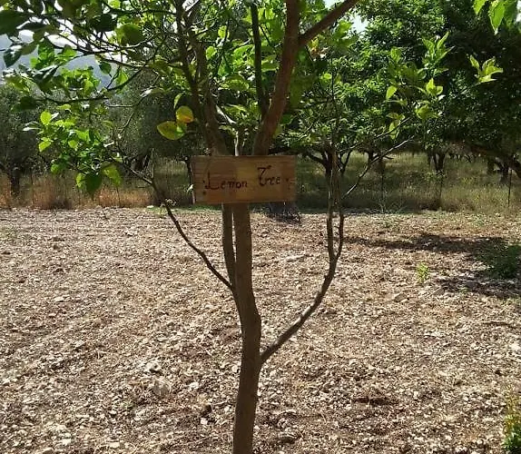 Stathi's Tatil Evi Divarata