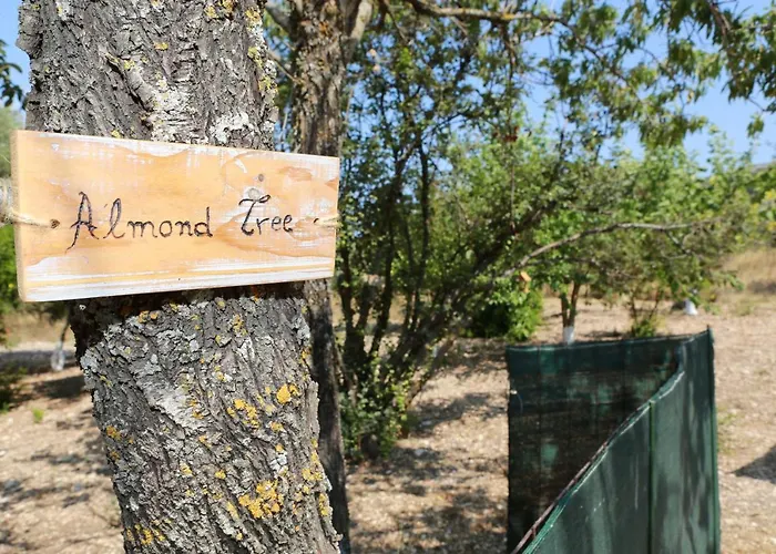 Stathi's Tatil Evi