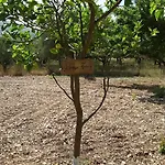 Stathi's Holiday home Divarata