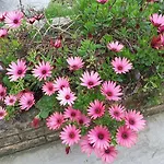 Holiday home Stathi's Divarata