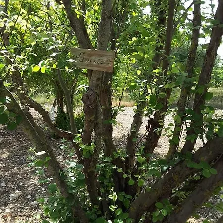 Stathi's Feriehus Divarata