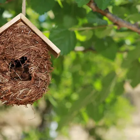 Stathi's Feriehus Divarata