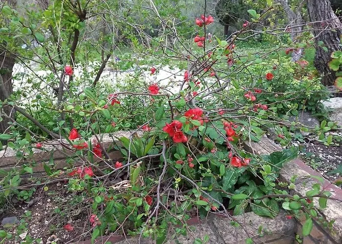 Stathi's Case de vacanță