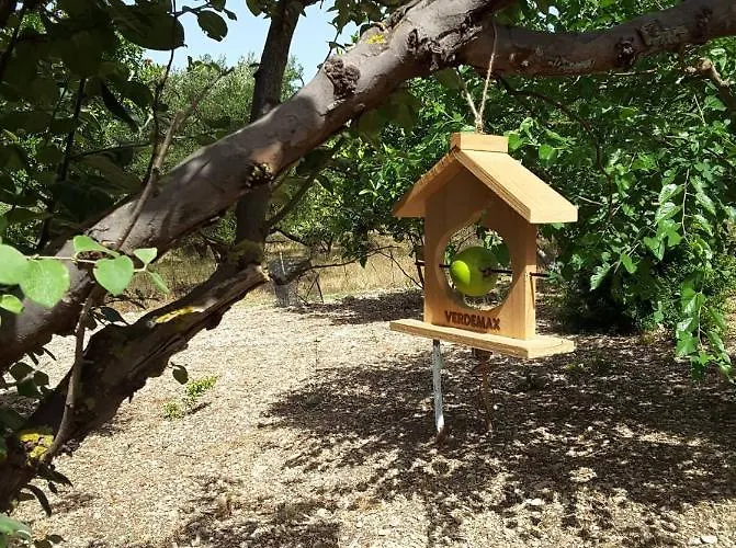 Case de vacanță Stathi's