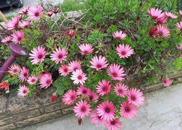 펜션 Stathi's Divarata